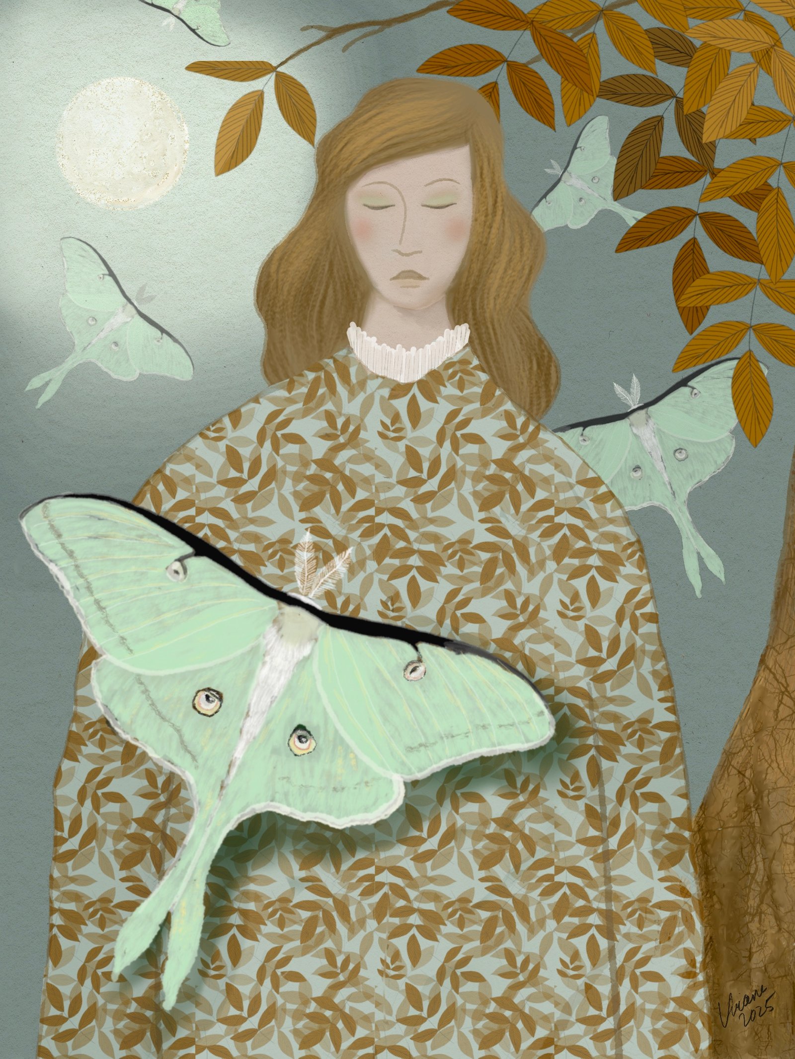 papillon lune